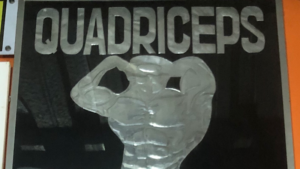 Quadriceps Fitness Cirebon